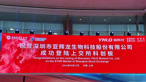 君合業(yè)績詳解 社會經(jīng)濟咨詢服務(wù)的卓越實踐與專業(yè)成果